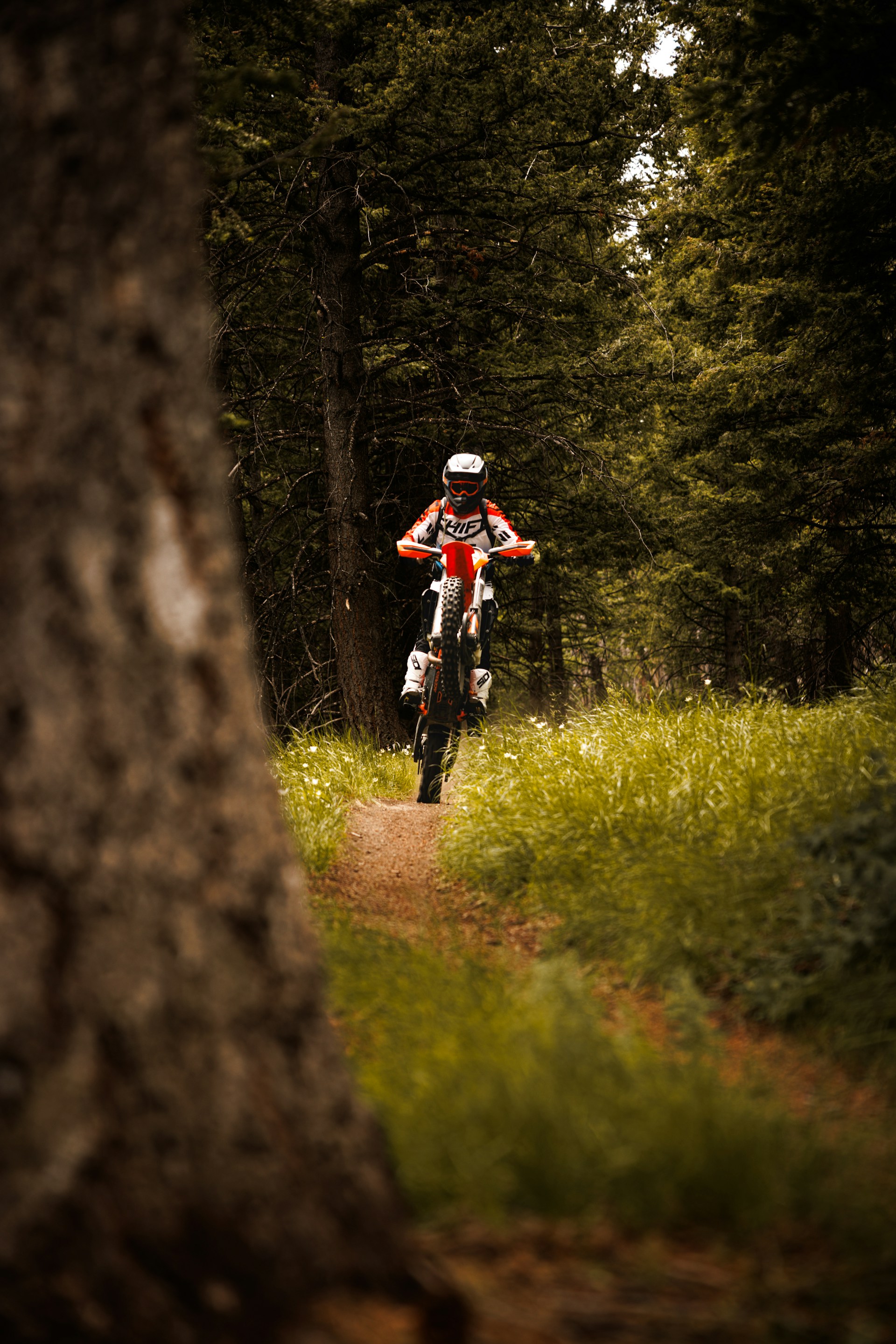 Electric Dirt Bike Adventure