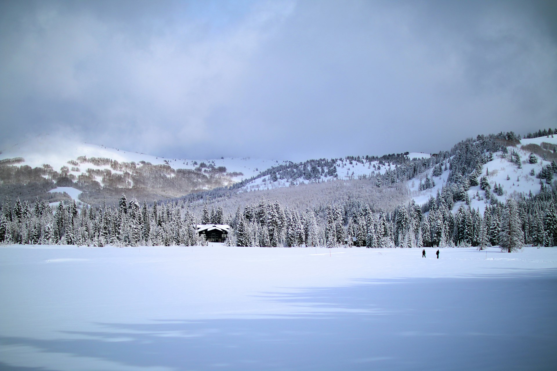 Scenic Snowshoe Adventure